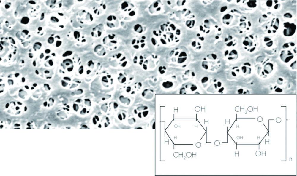 Sartorius Membrane Filters 50mm, 0.45µm, Pack of 100, 18406-50-N