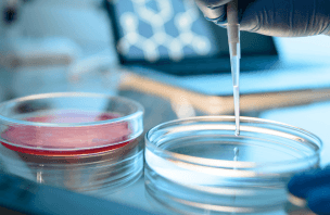 Petri Dish Guide: Uses, Types & How to Choose the Right One