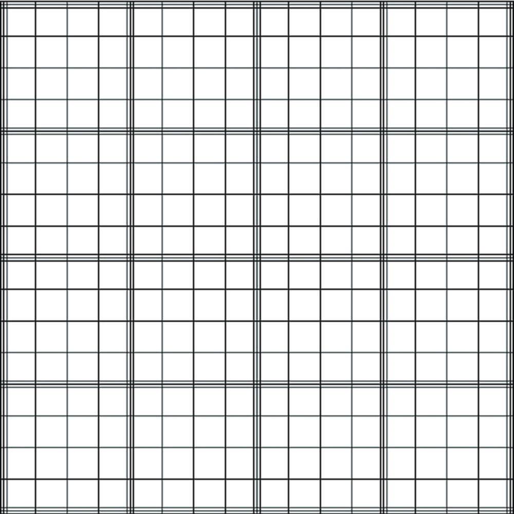 BRAND Counting Chamber ACCTO Fuchs Rosenthal Blaubrand Double Ruling (Without Spring Clips), Chamber Depth 0.2mm

