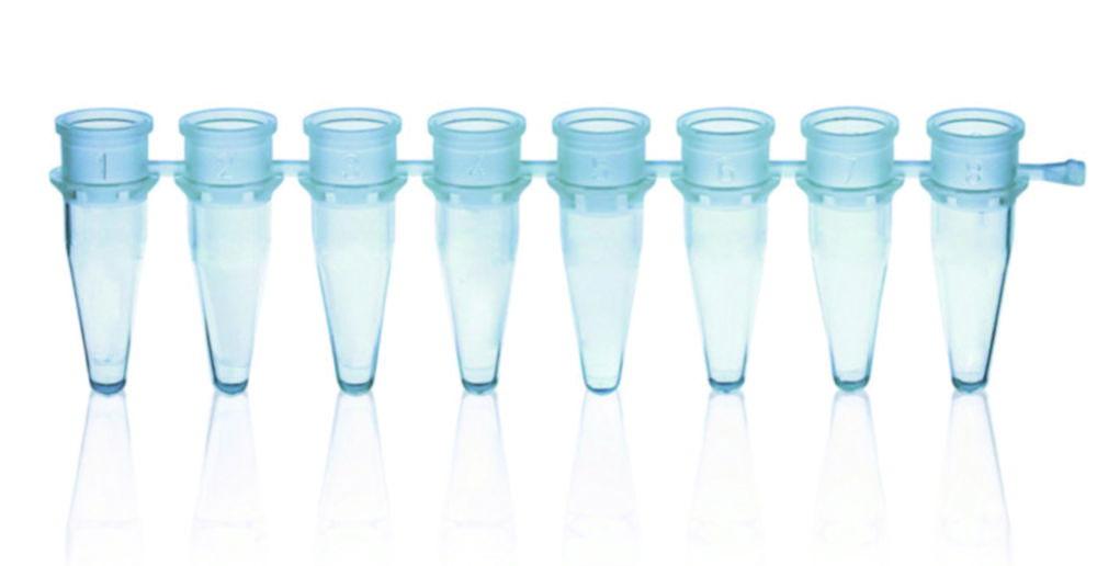 BRAND 8 PCR Tube Strips 0.2ml Blue Without Caps – Pack of 125

