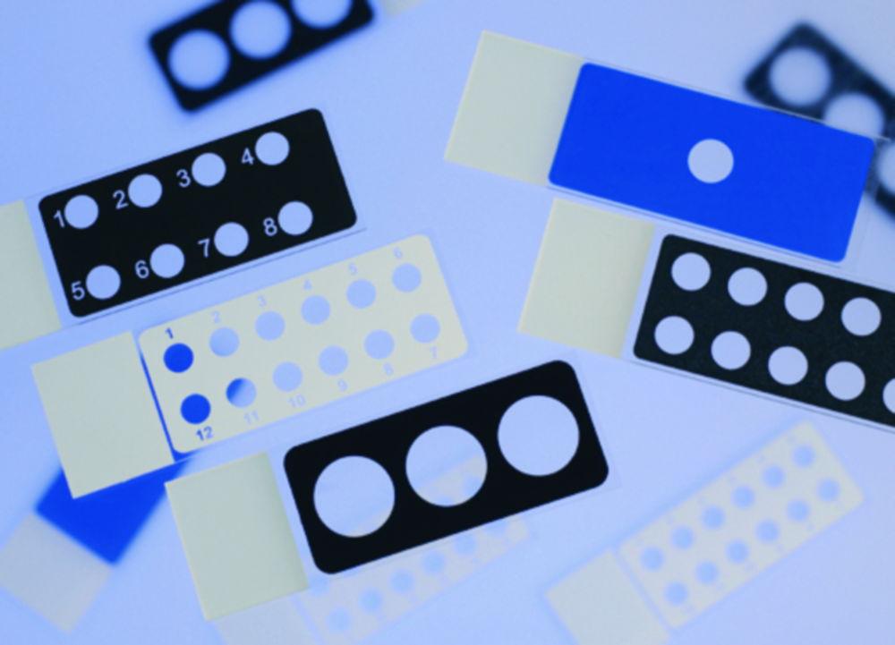 Epredia Netherlands Diagnostic Slides, 25 x 75 x 1 mm, Epoxy Coated, Blue, 1 Cavity (8 mm), Pack of 100