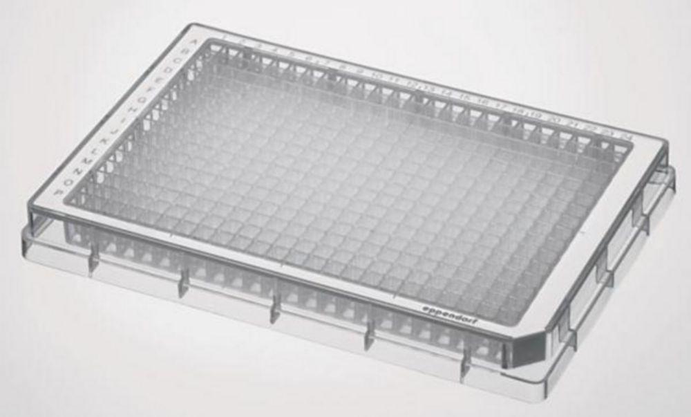Eppendorf Microplate 384/F-PP Clear Wells, Border Color White, Sterile, 240 Plates (10x24 pcs)

