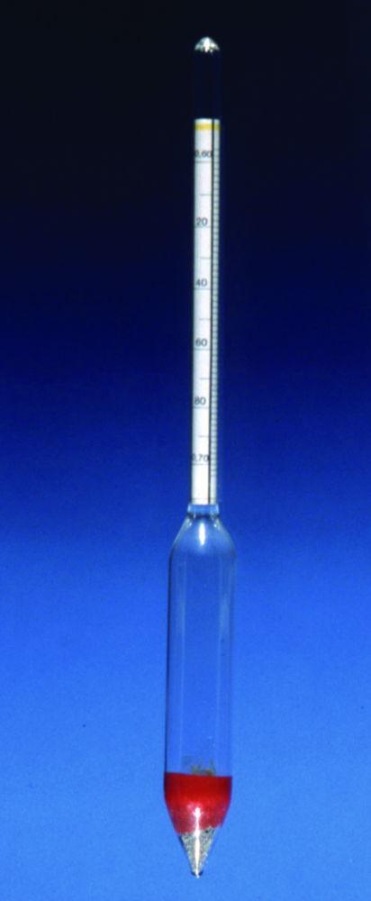 GECO Density Hydrometers without Thermo Scientificmeter 1.70–1.80, Adjustable, 250 mm

