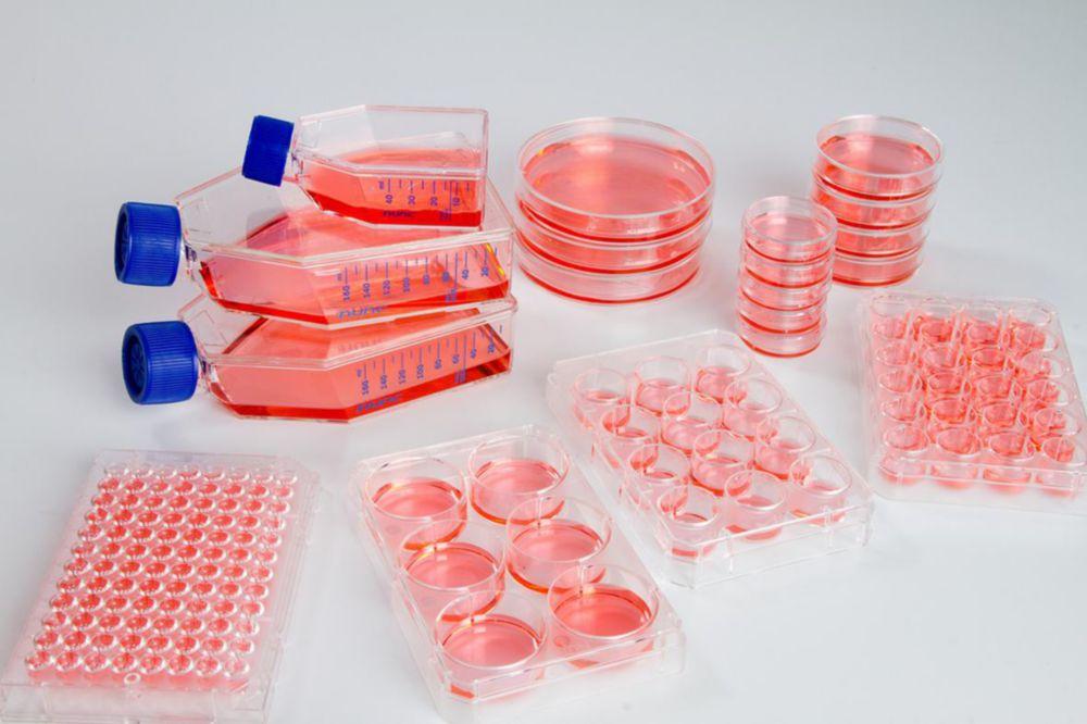 Thermo Nunc Nunclon Sphera Multidish 12-Well, Culture Area 3.8cm² with Lid, Sterile, Suggested Working Volume 1mL