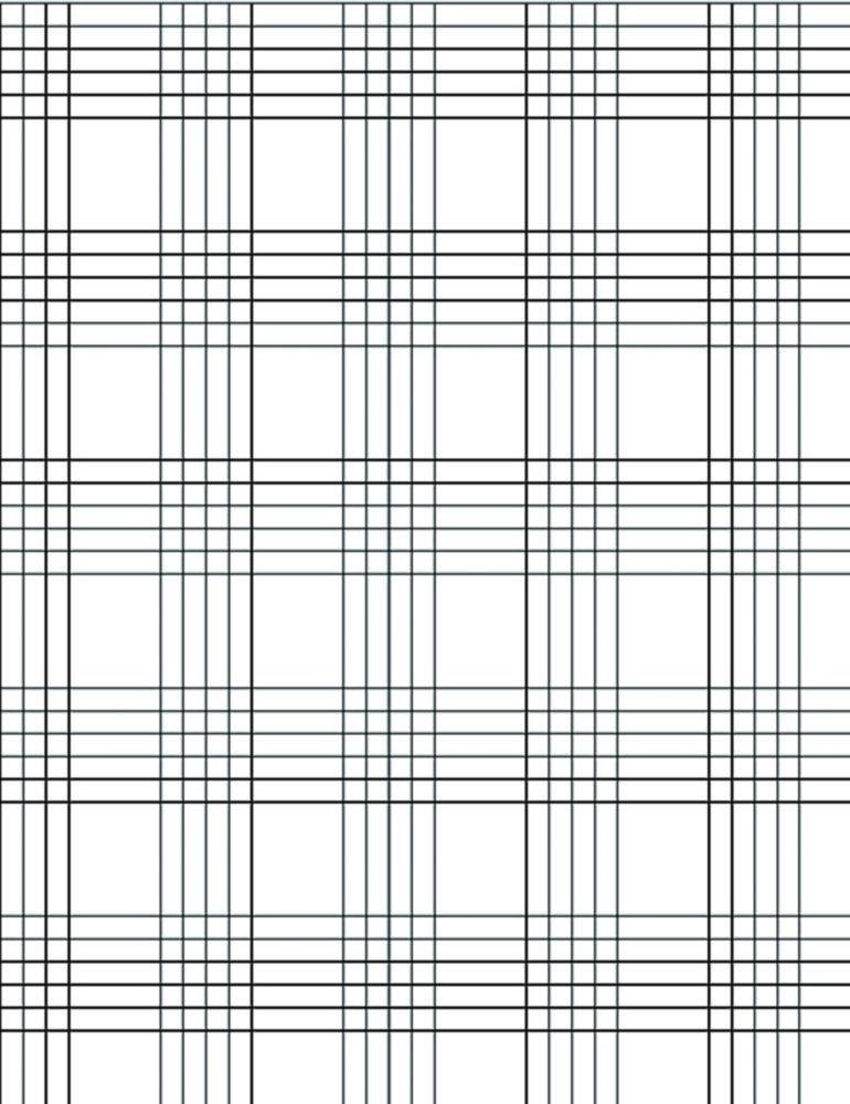 BRAND BLAUBRAND Malassez Counting Chamber (Double Ruling, Without Spring Clips, 0.2 mm Depth)

