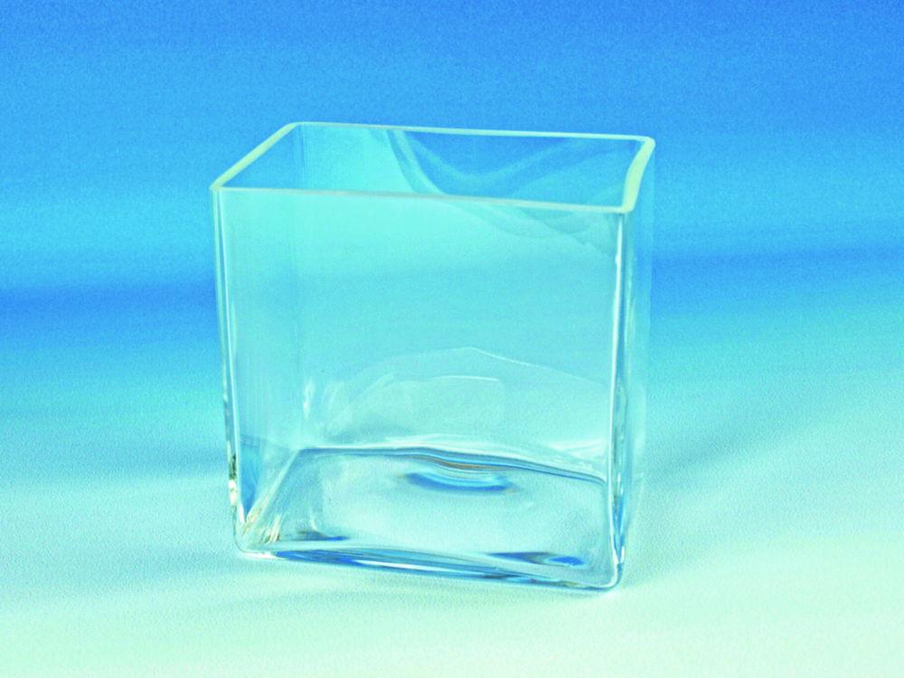 Hecht Glass Tank 300x220x240 mm, Fine Ground Rim

