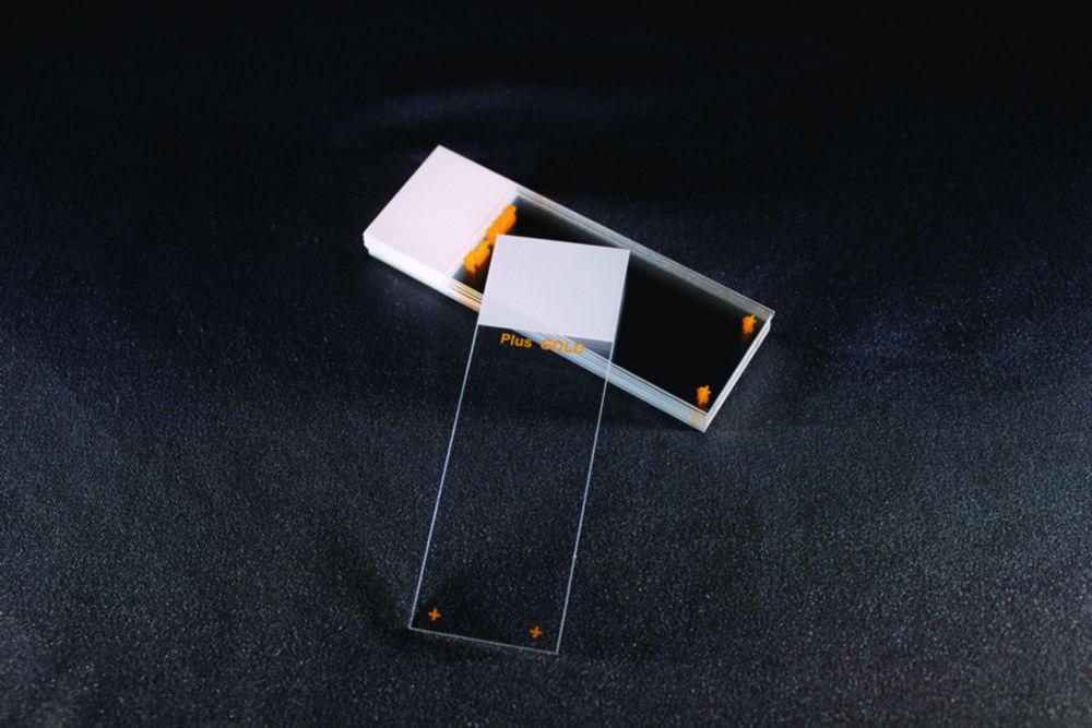 Epredia Superfrost OT Plus Gold Microscope Slides 25x75 mm, Grinded 90°, White (Pack of 72)
