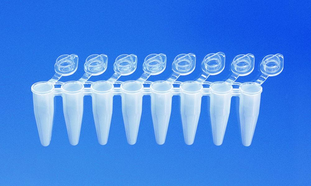 BRAND PCR Tubes 0.2 mL White, Attached Transparent Single Cap, Standard PP (Pack of 120)

