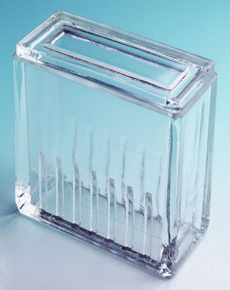 Glaswarenfabrik Karl Hecht Glass Staining Trough Hellendahl for 16 Slides, Depth 60 mm