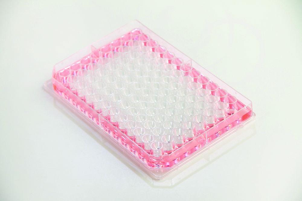 Thermo Nunc Edge 96-Well Flat-Bottom Microplates (Non-Treated, Sterile, without Lid, Single Packed, Pack of 50)