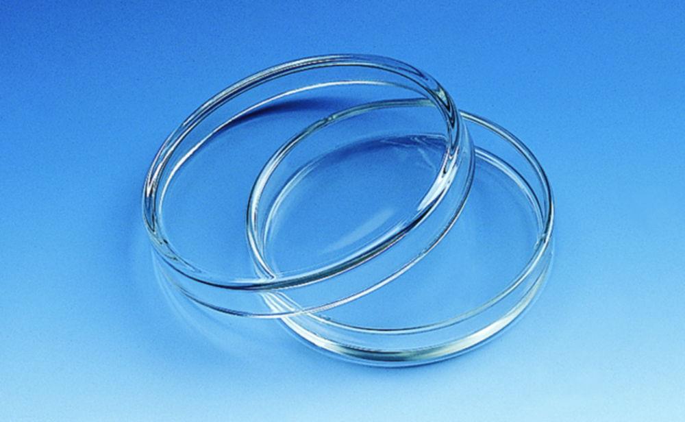 BRAND Petri Dishes 80 × 15 mm with Fire-Polished Edges (Pack of 10)