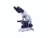 Educational microscope BA81B-MS w/100x Corded WF 10X/18mm