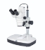 Digital stereomicroscope DM-143-FBGG-C
