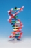 miniDNA molecular modell kit advanced, 12 layers